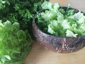Gesundes Dressing – Das macht den Salat an!